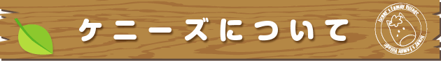 ケニーズについて