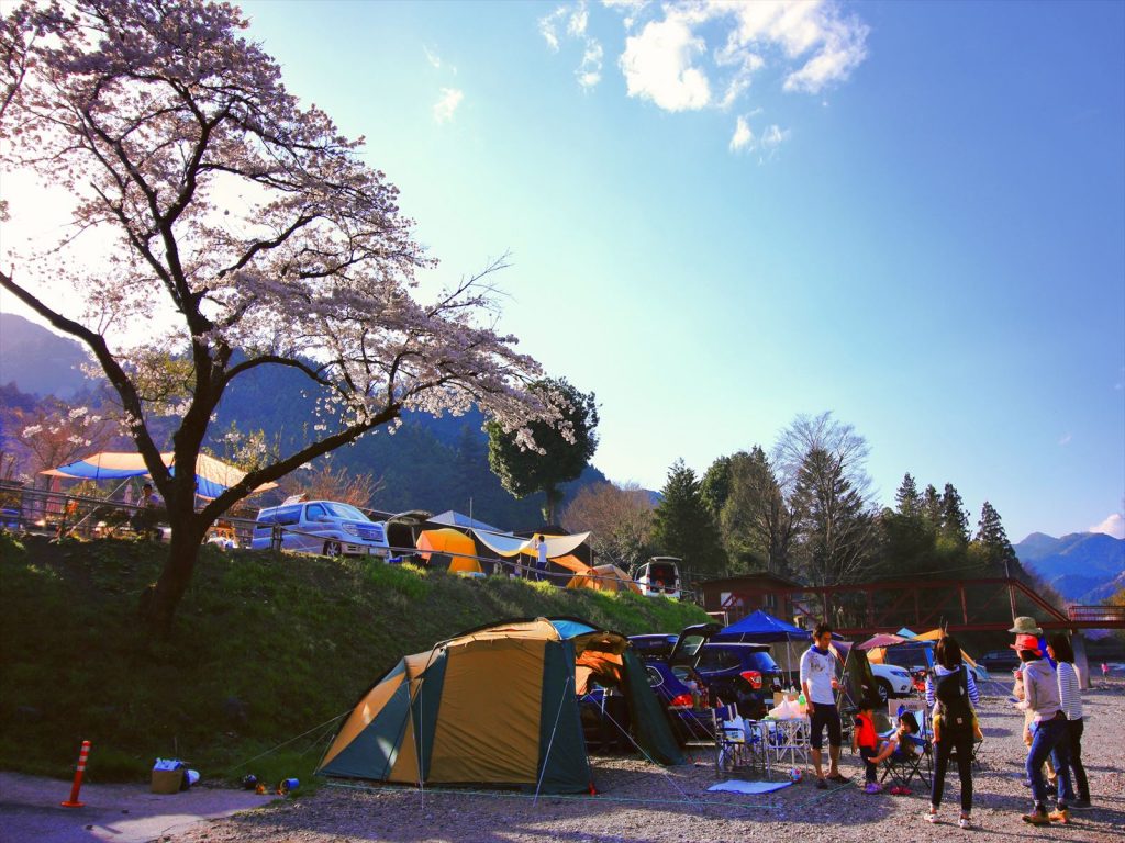 春はお花見キャンプがおすすめ キャンプデビューにも最適な季節 埼玉県のキャンプ場 初心者 ソロ大歓迎 ケニーズ ファミリー ビレッジ